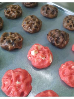 Classic Tiramisu Cup